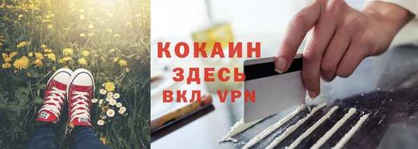 дживик Вязьма