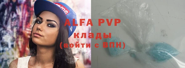 дживик Вязьма