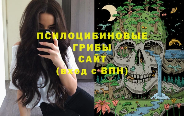 дживик Вязьма