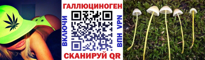 наркошоп  Владикавказ  OMG вход  маркетплейс Telegram  Галлюциногенные грибы MAGIC MUSHROOMS 